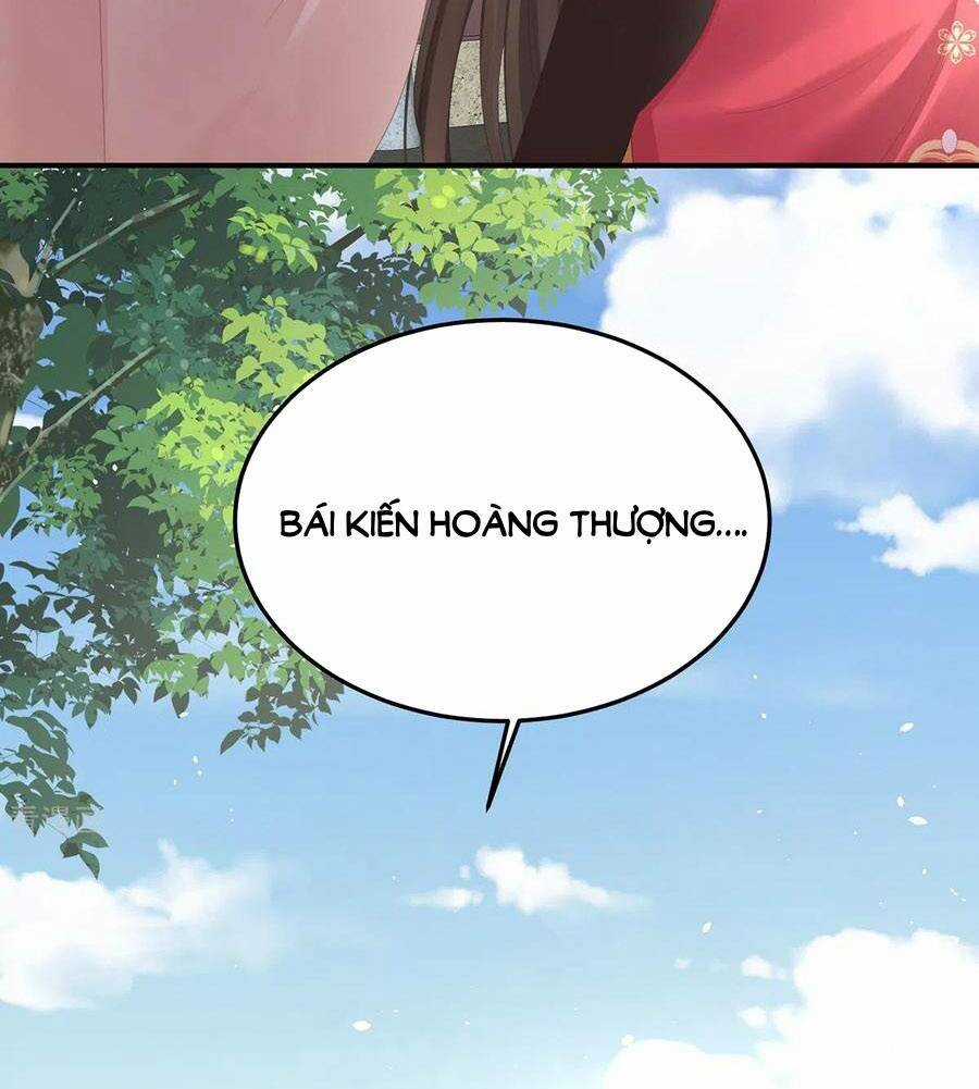 Hậu Cung Của Nữ Đế Chapter 360 trang 13