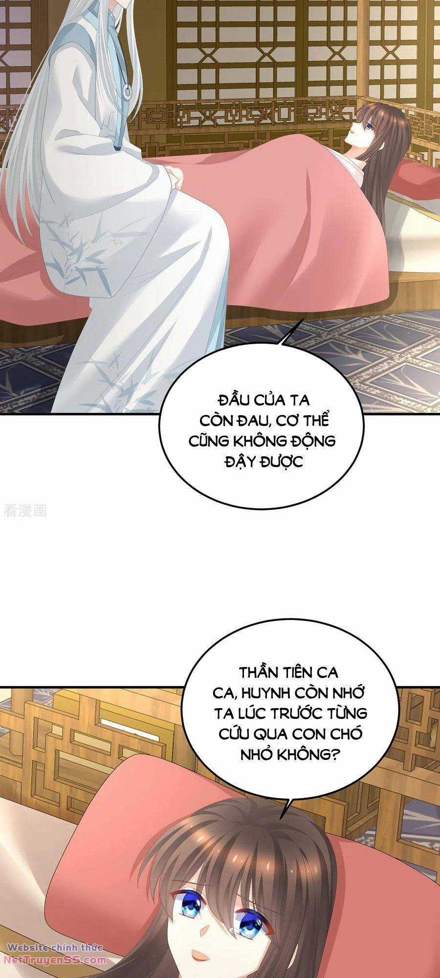 Hậu Cung Của Nữ Đế Chapter 364 trang 6