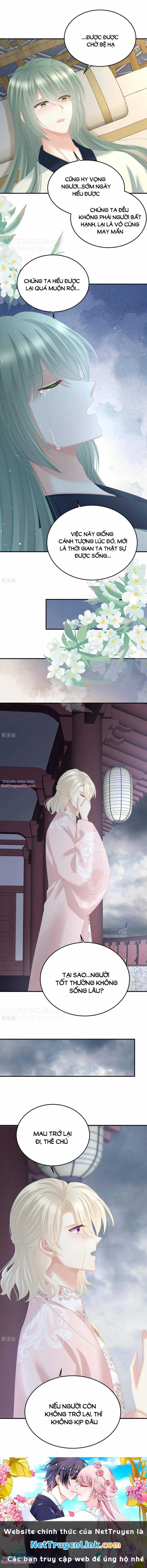 Hậu Cung Của Nữ Đế Chapter 367 trang 2
