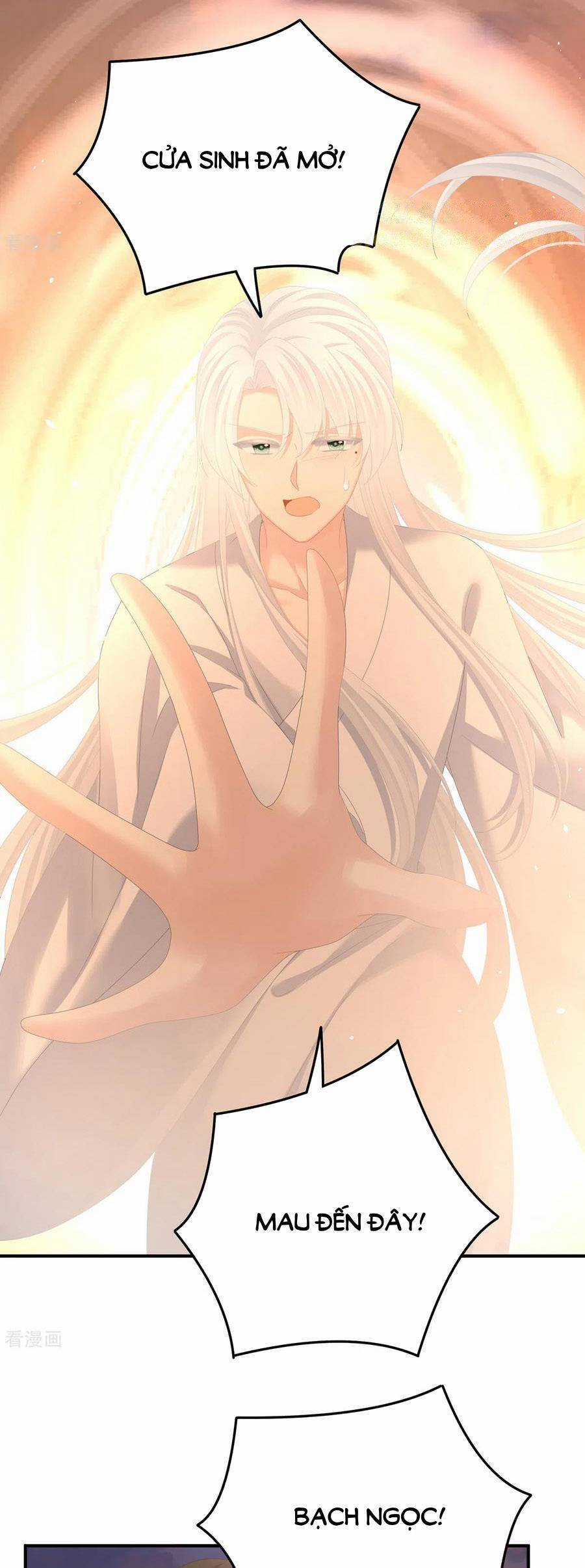 Hậu Cung Của Nữ Đế Chapter 369 trang 20