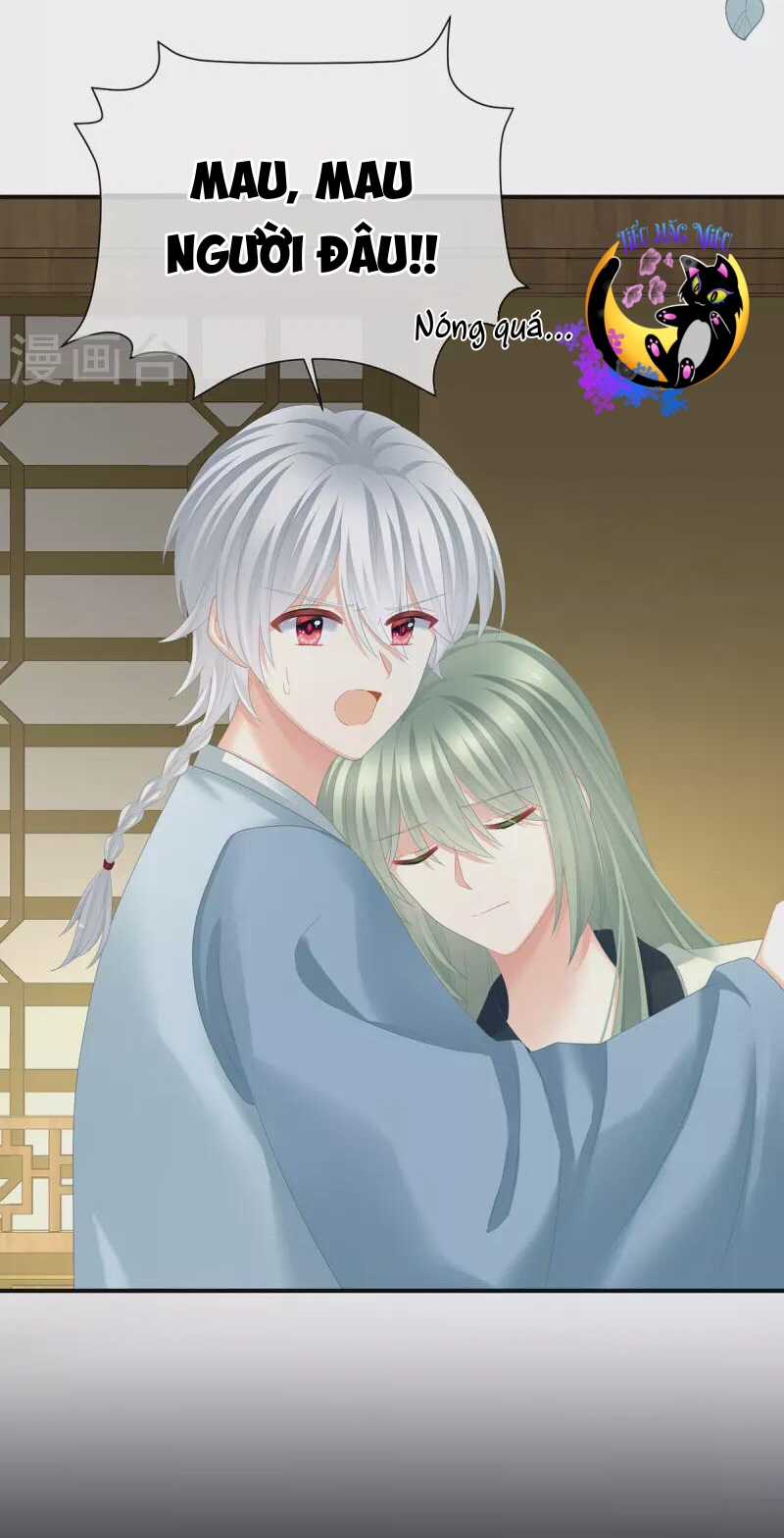 Hậu Cung Của Nữ Đế Chapter 371 trang 43