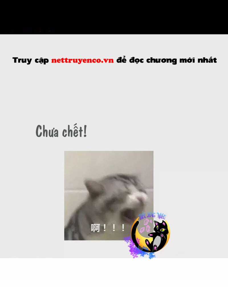 Hậu Cung Của Nữ Đế Chapter 371 trang 55