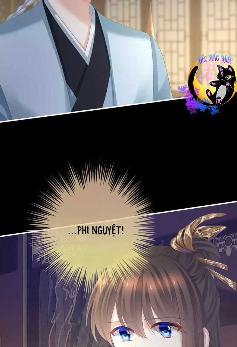 Hậu Cung Của Nữ Đế Chapter 373 trang 4