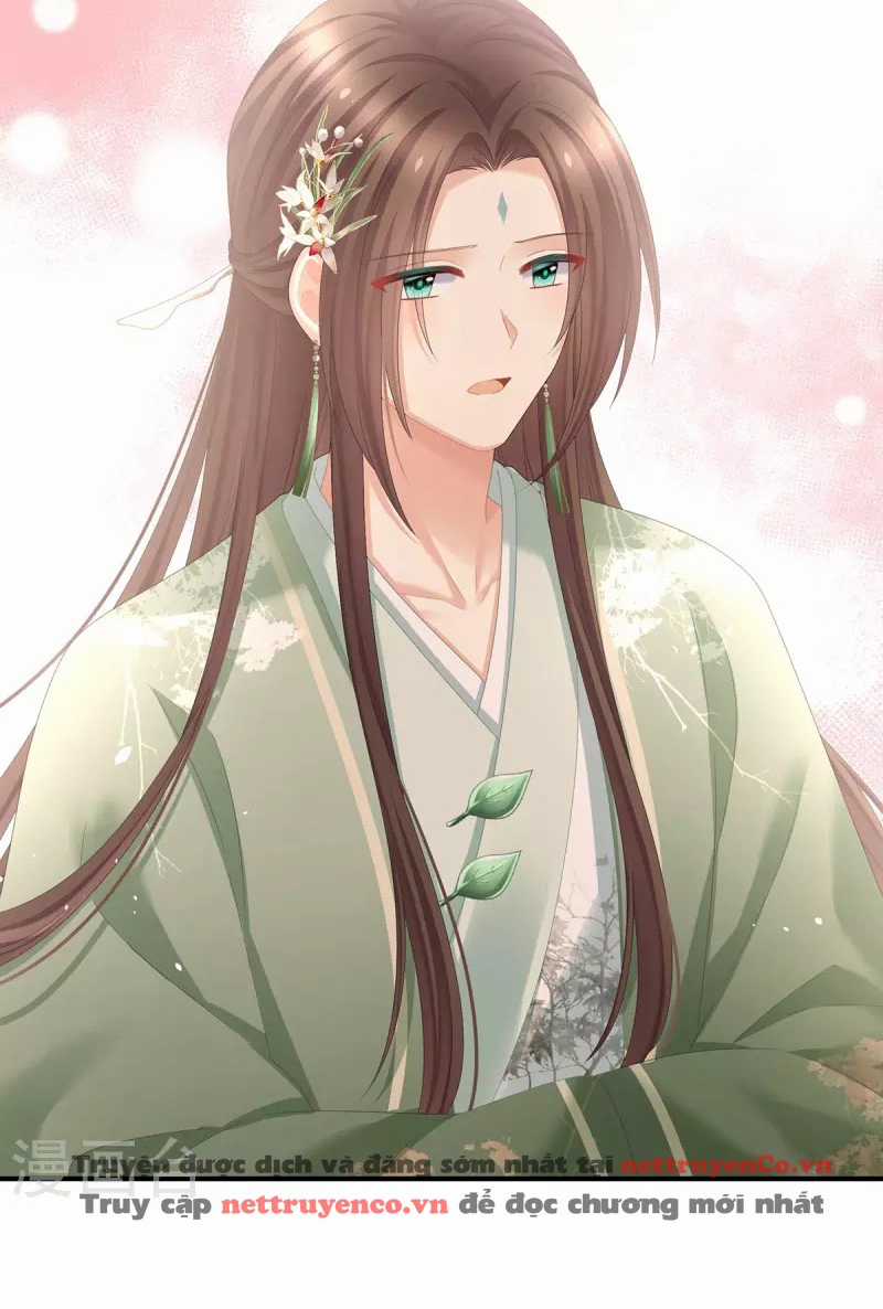 Hậu Cung Của Nữ Đế Chapter 374 trang 33