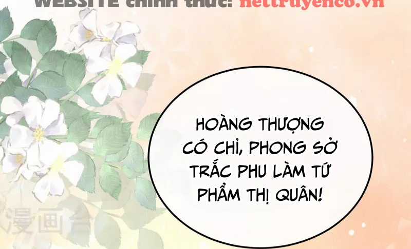 Hậu Cung Của Nữ Đế Chapter 374 trang 35