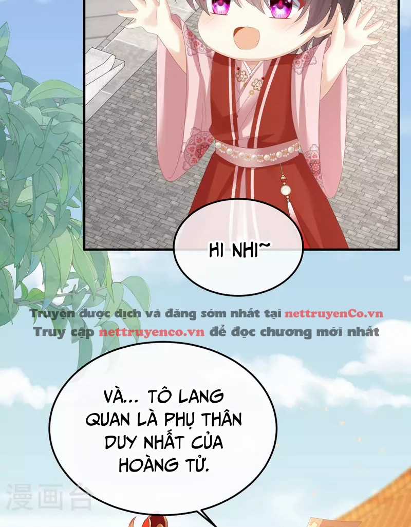 Hậu Cung Của Nữ Đế Chapter 374 trang 51