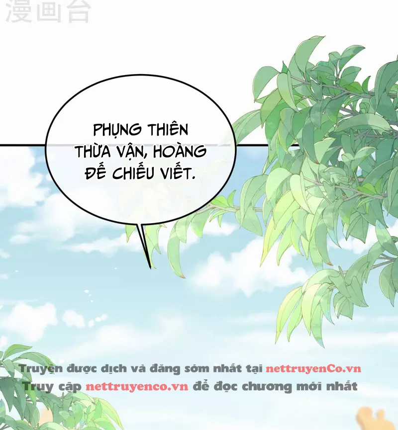 Hậu Cung Của Nữ Đế Chapter 375 trang 13