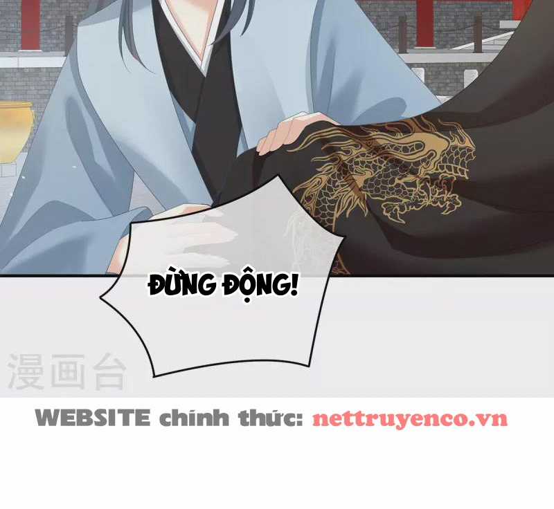 Hậu Cung Của Nữ Đế Chapter 375 trang 29