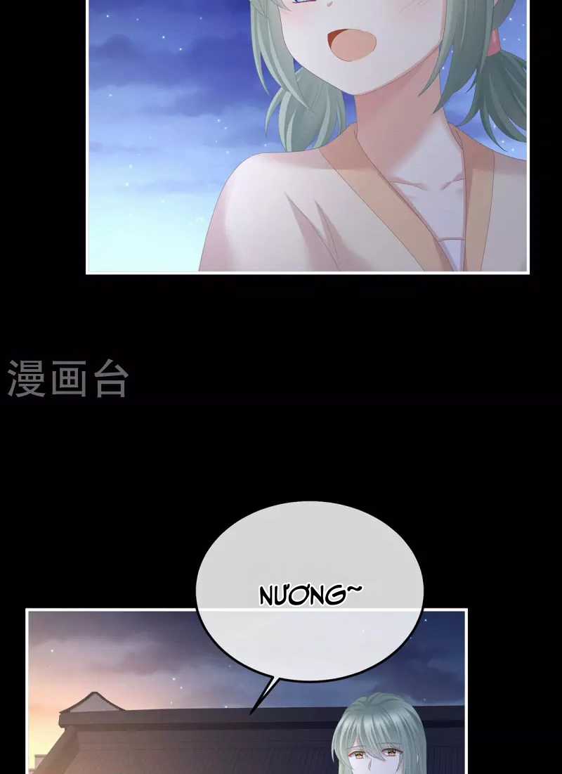 Hậu Cung Của Nữ Đế Chapter 377 trang 22