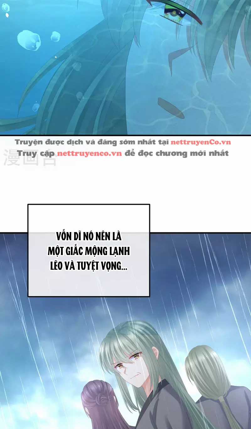 Hậu Cung Của Nữ Đế Chapter 377 trang 3