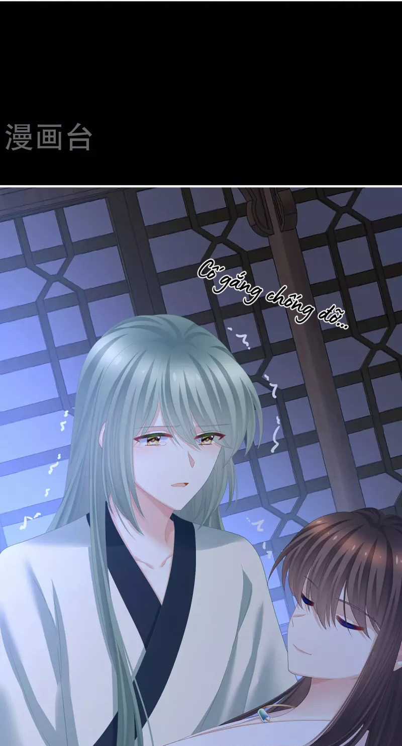 Hậu Cung Của Nữ Đế Chapter 377 trang 46