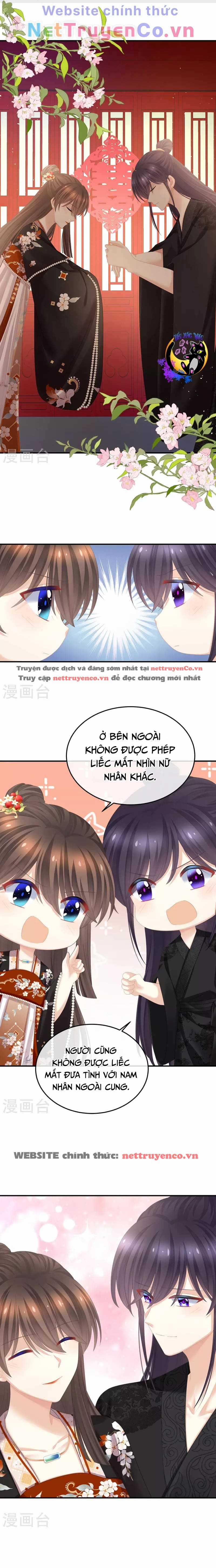 Hậu Cung Của Nữ Đế Chapter 379 trang 7