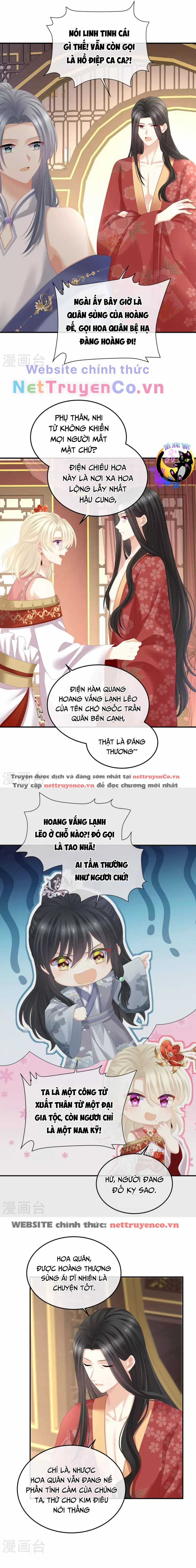 Hậu Cung Của Nữ Đế Chapter 380 trang 2