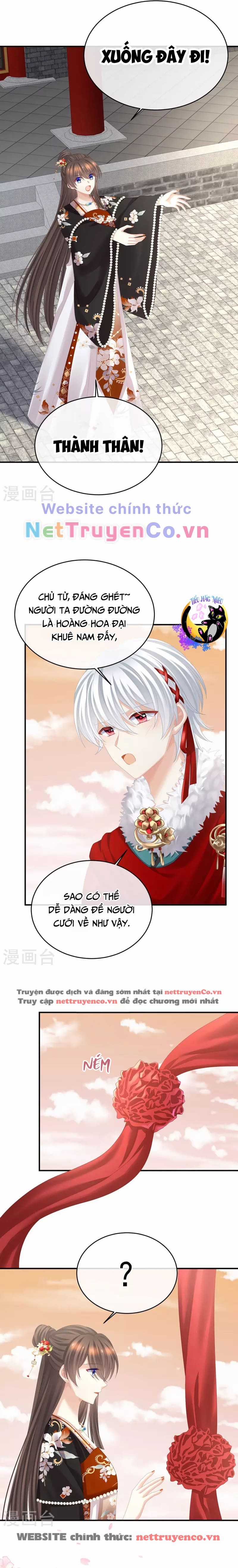 Hậu Cung Của Nữ Đế Chapter 384 trang 4
