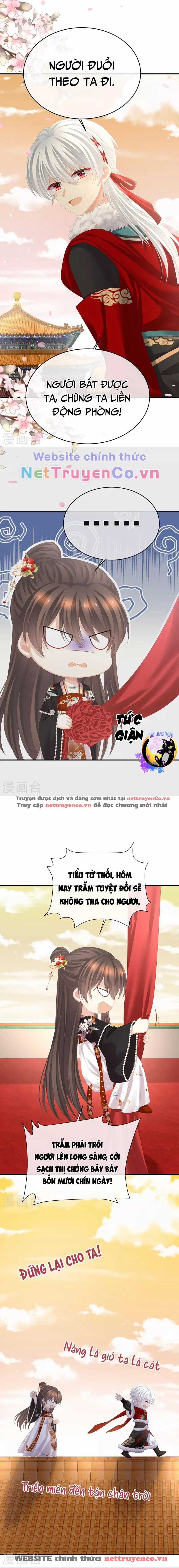 Hậu Cung Của Nữ Đế Chapter 384 trang 5