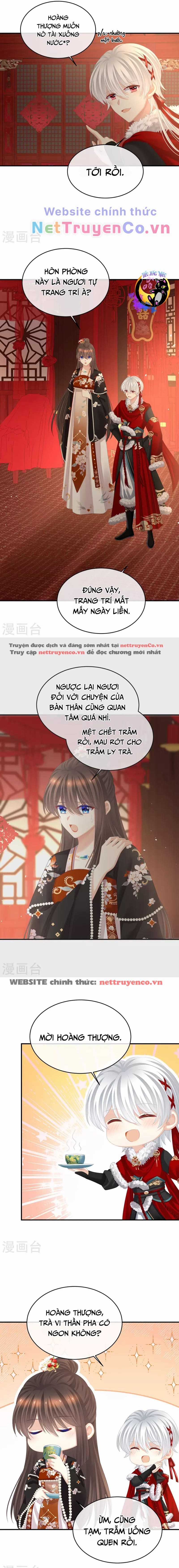 Hậu Cung Của Nữ Đế Chapter 384 trang 7