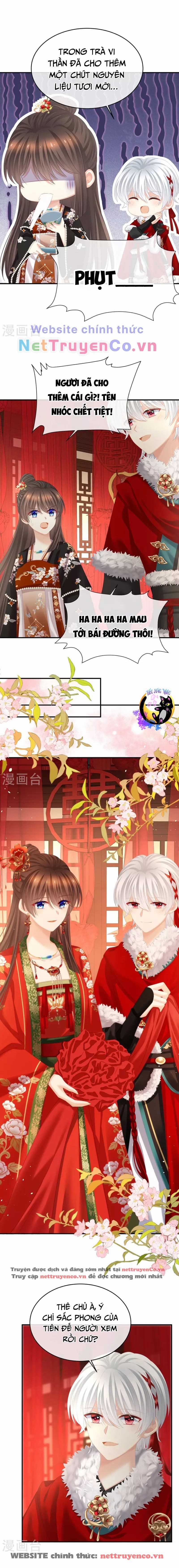 Hậu Cung Của Nữ Đế Chapter 384 trang 8