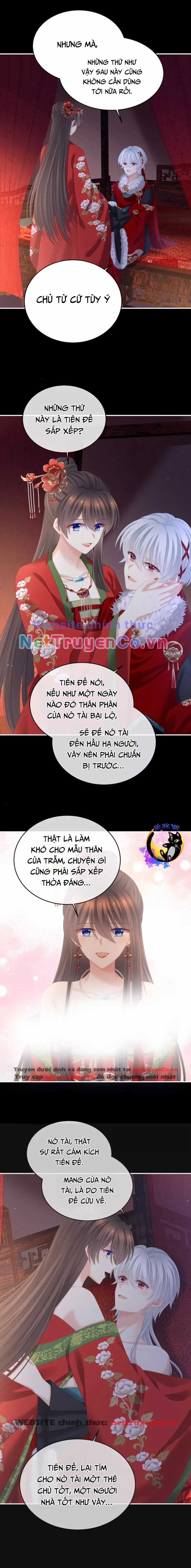Hậu Cung Của Nữ Đế Chapter 385 trang 4