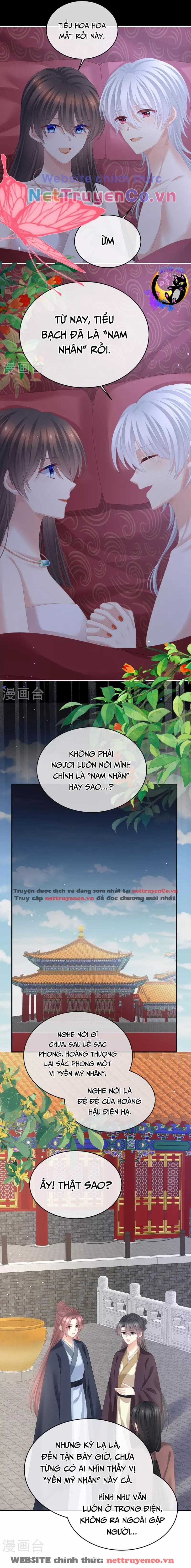 Hậu Cung Của Nữ Đế Chapter 385 trang 7