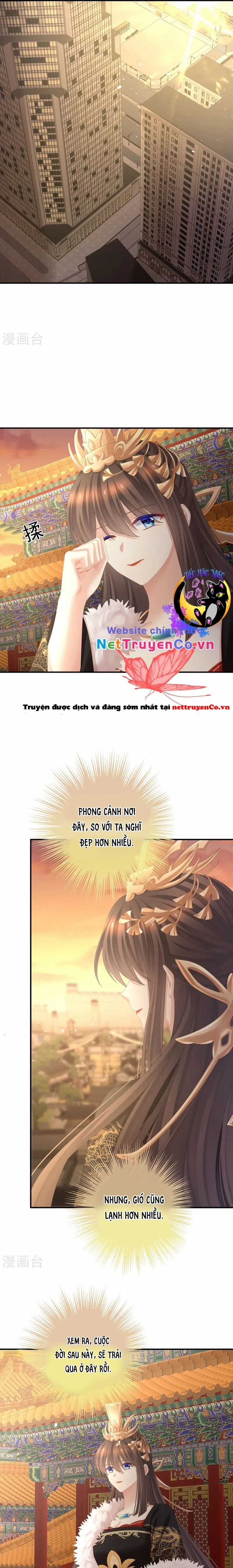 Hậu Cung Của Nữ Đế Chapter 386 trang 10