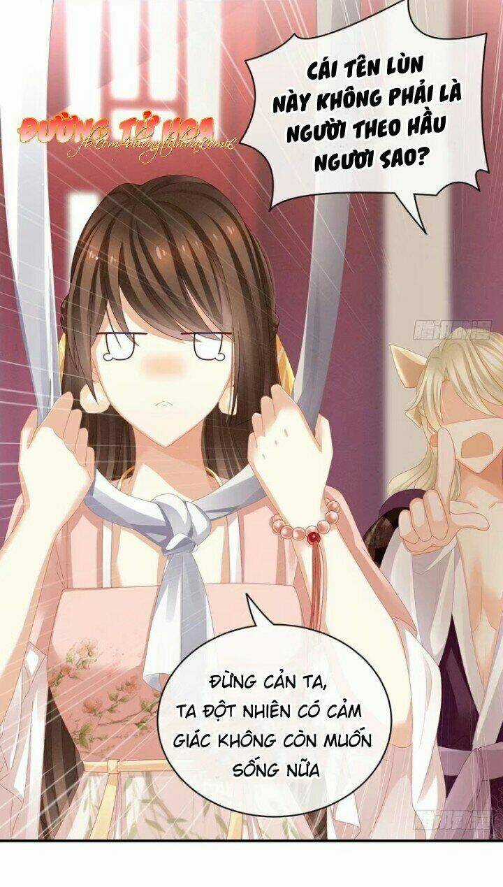 Hậu Cung Của Nữ Đế Chapter 41 trang 27
