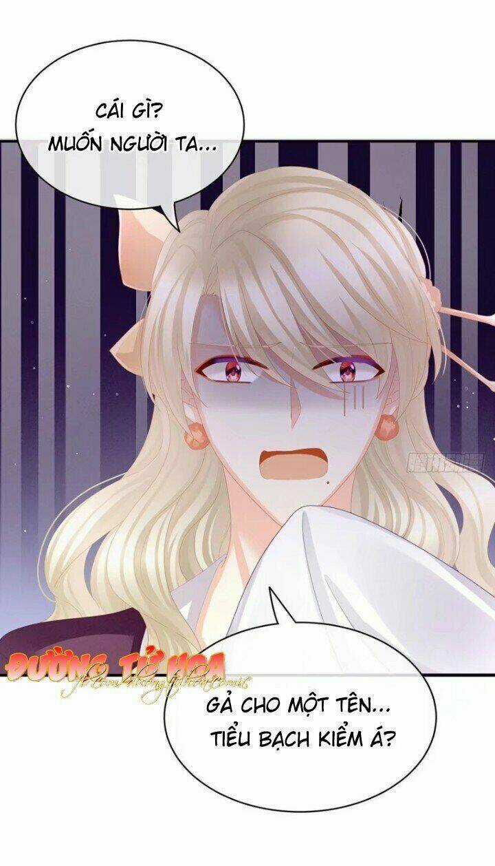 Hậu Cung Của Nữ Đế Chapter 41 trang 29
