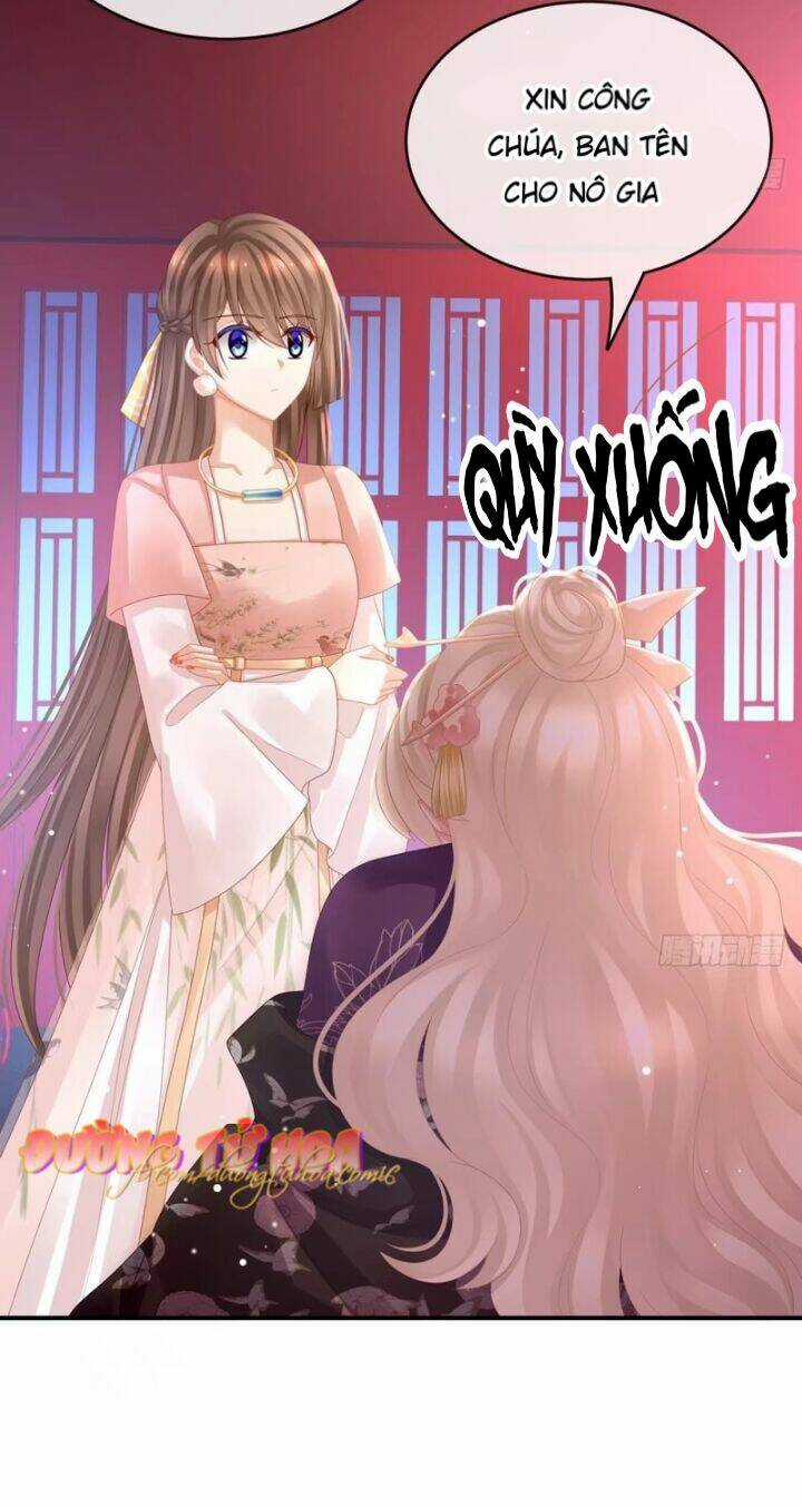 Hậu Cung Của Nữ Đế Chapter 43 trang 17