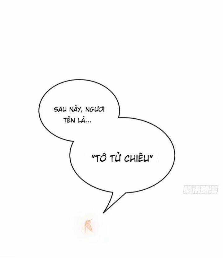 Hậu Cung Của Nữ Đế Chapter 43 trang 19