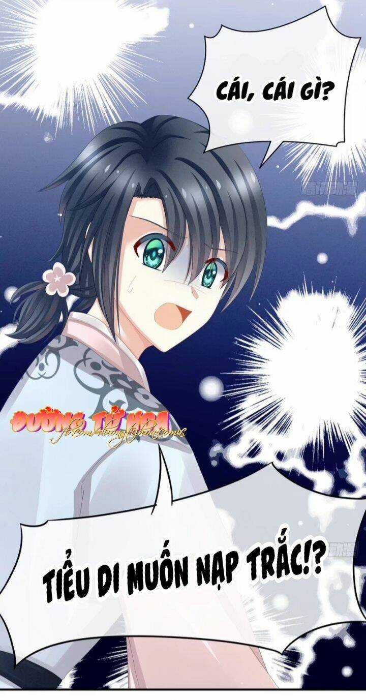 Hậu Cung Của Nữ Đế Chapter 45 trang 29