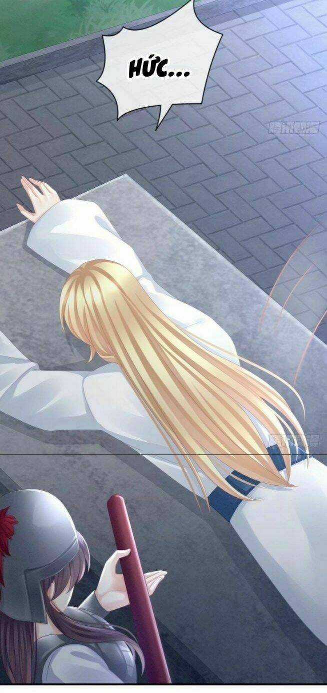 Hậu Cung Của Nữ Đế Chapter 49 trang 13