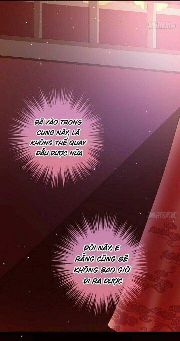 Hậu Cung Của Nữ Đế Chapter 52 trang 11