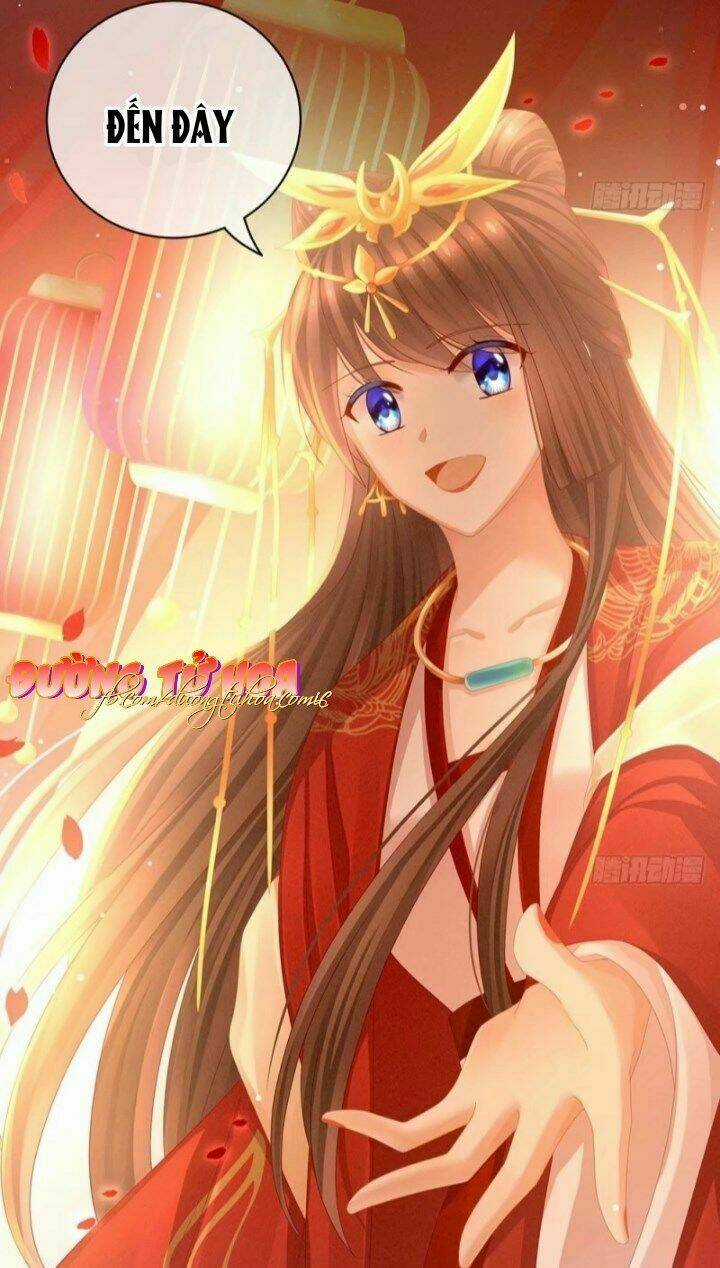 Hậu Cung Của Nữ Đế Chapter 53 trang 19