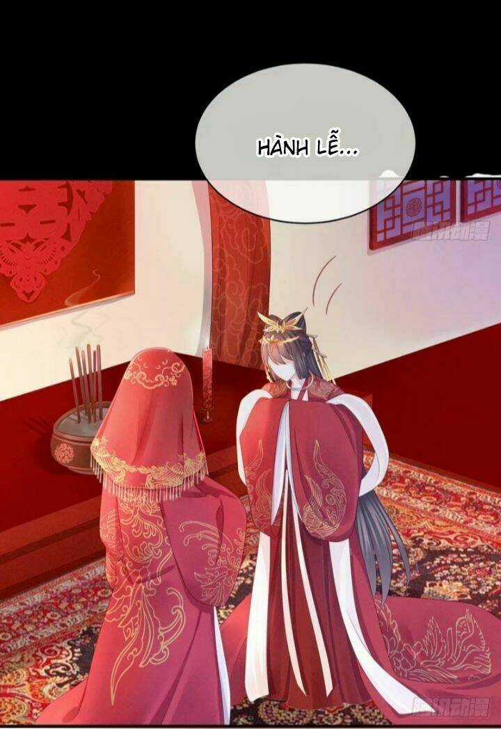 Hậu Cung Của Nữ Đế Chapter 53 trang 30