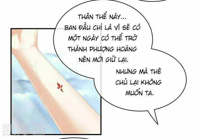 Hậu Cung Của Nữ Đế Chapter 60 trang 1