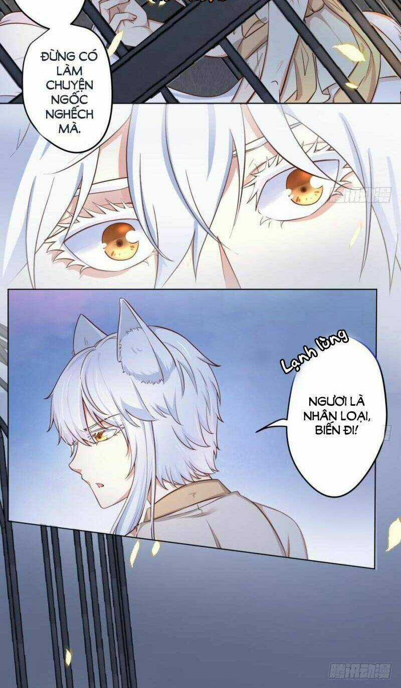 Hậu Cung Của Nữ Hoàng Có Chút Loạn Chapter 11 trang 18