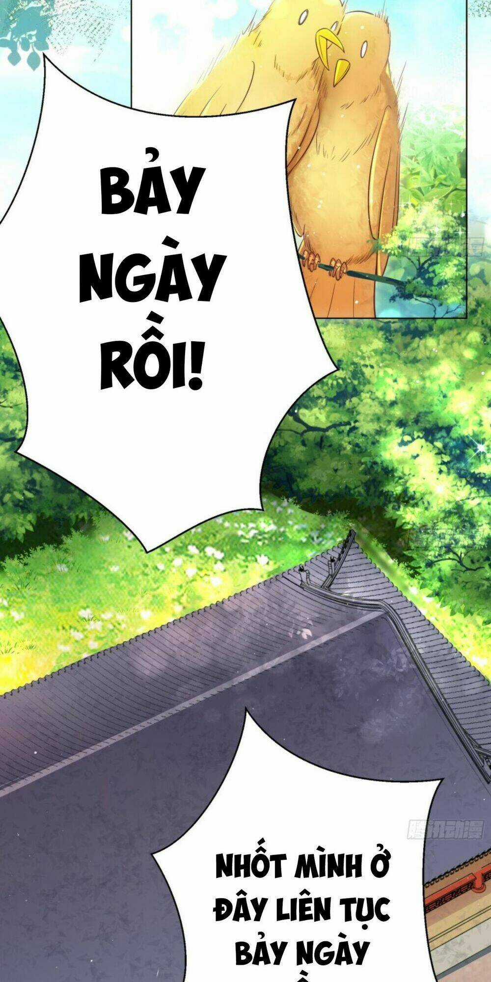 Hậu Cung Của Nữ Hoàng Có Chút Loạn Chapter 9 trang 3