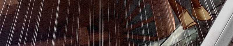 Hậu Cung Của Trẫm Cháy Rồi! Chương 30 trang 6