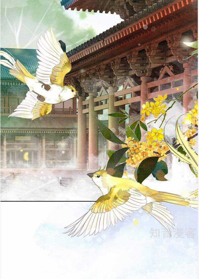 Hậu Cung Của Trẫm Cháy Rồi! Chương 77 trang 3