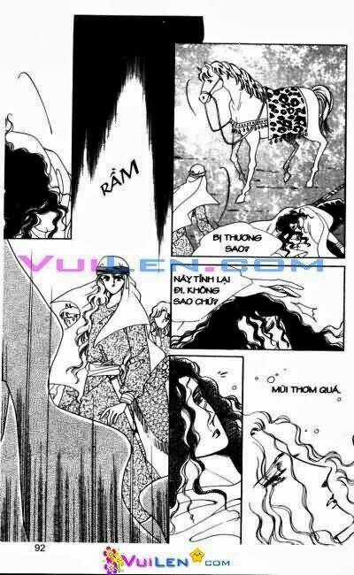 Hậu Duệ Hoàng Gia Chapter 3 trang 91