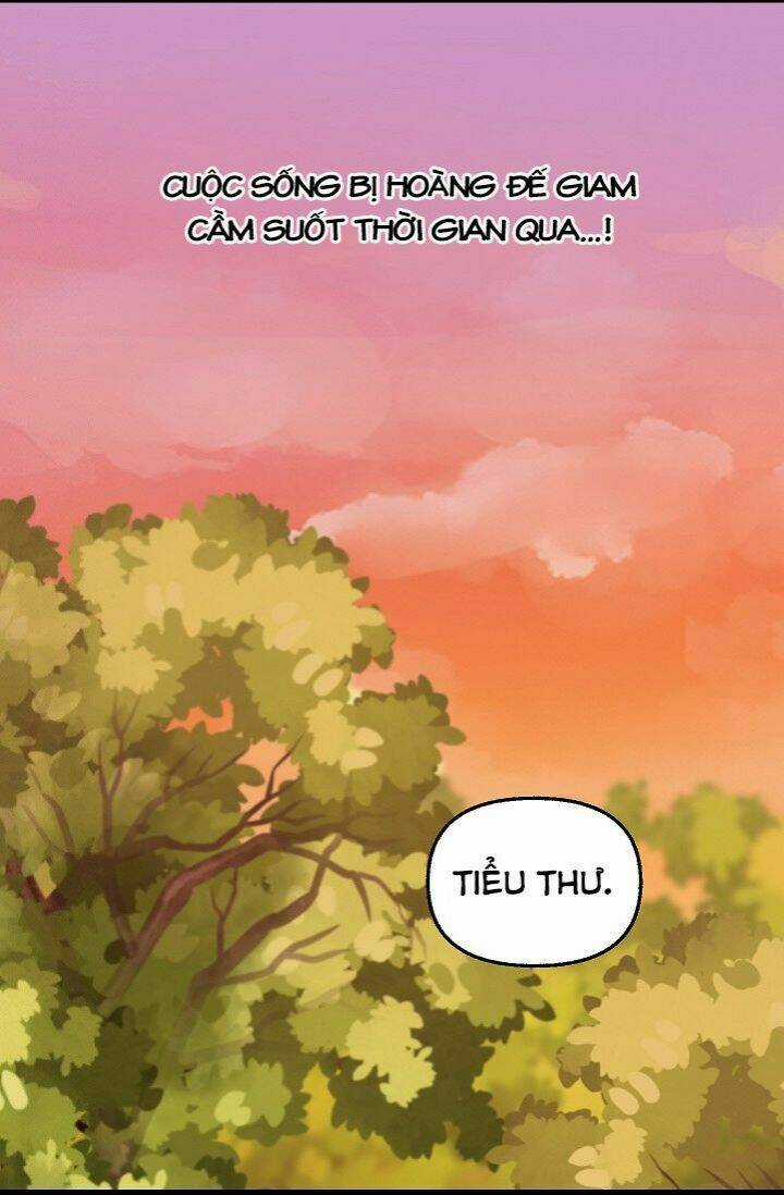 Hãy Bỏ Mặc Tôi Chapter 25 trang 20