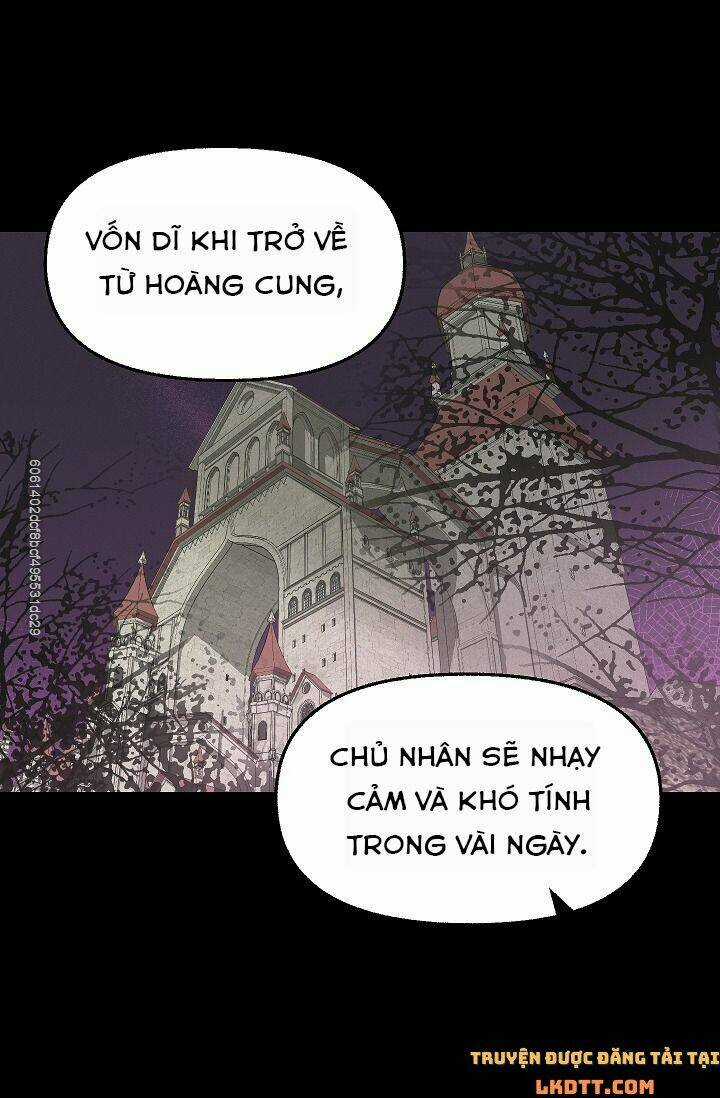 Hãy Bỏ Mặc Tôi Chapter 45 trang 20