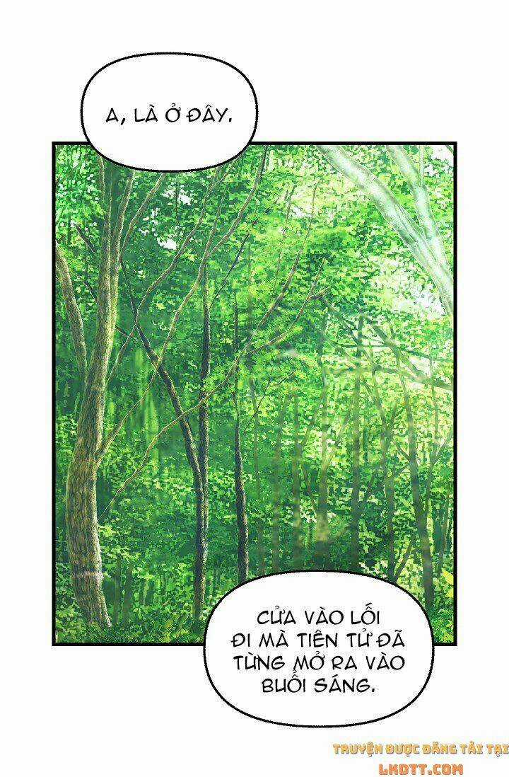 Hãy Bỏ Mặc Tôi Chapter 62 trang 39