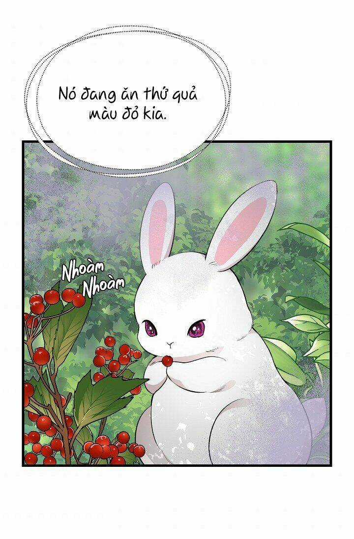 Hãy Bỏ Mặc Tôi Chapter 63 trang 41