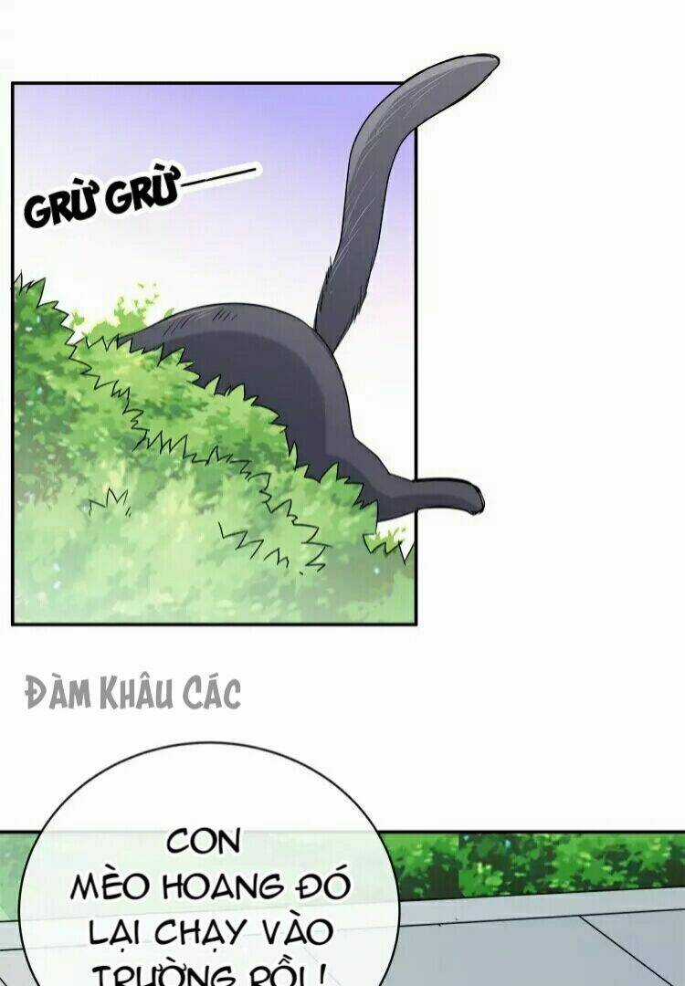 Hãy Call Trước Khi Bốc Cháy Chapter 13 trang 25