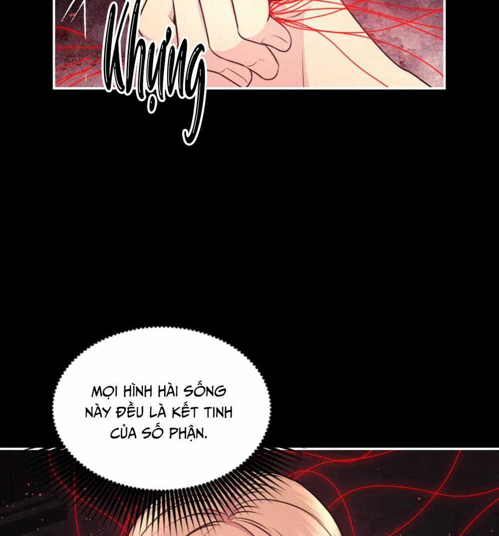 Hãy Cẩn Thận Sợi Tơ Hồng Chapter 89 trang 52