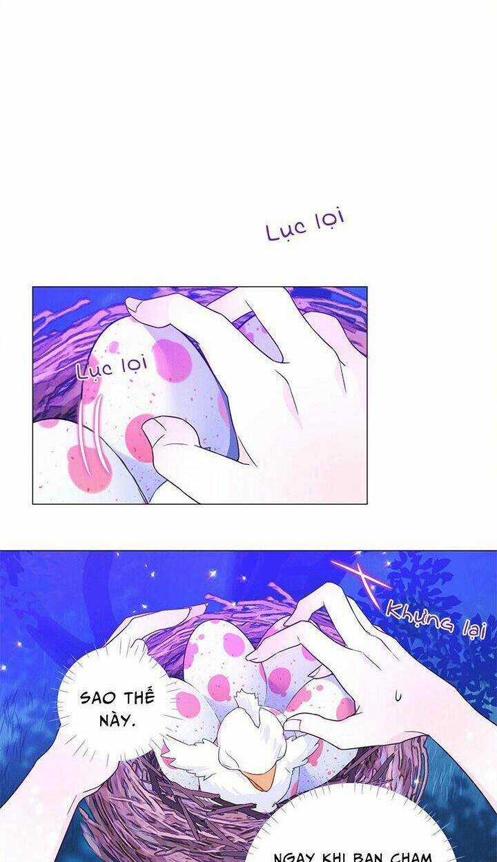 Hãy Chọn Một Trong Các Papa Bạo Chúa Chapter 10 trang 67