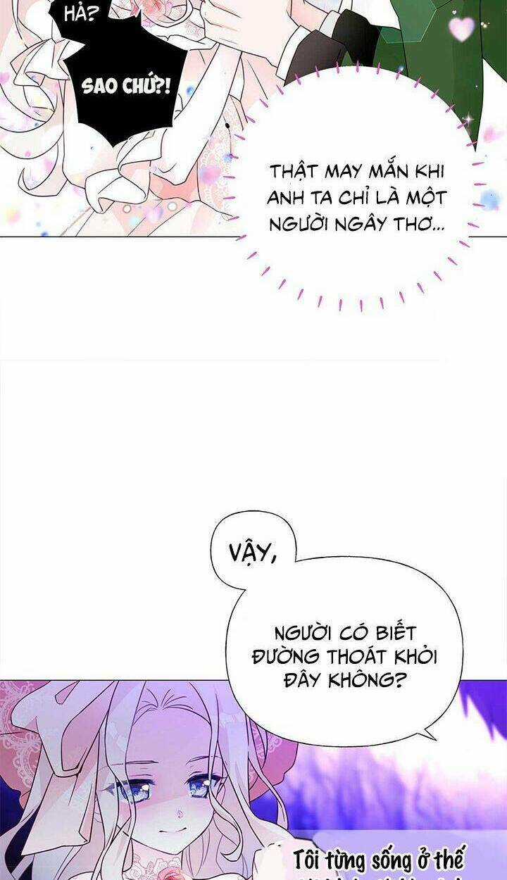 Hãy Chọn Một Trong Các Papa Bạo Chúa Chapter 11 trang 47