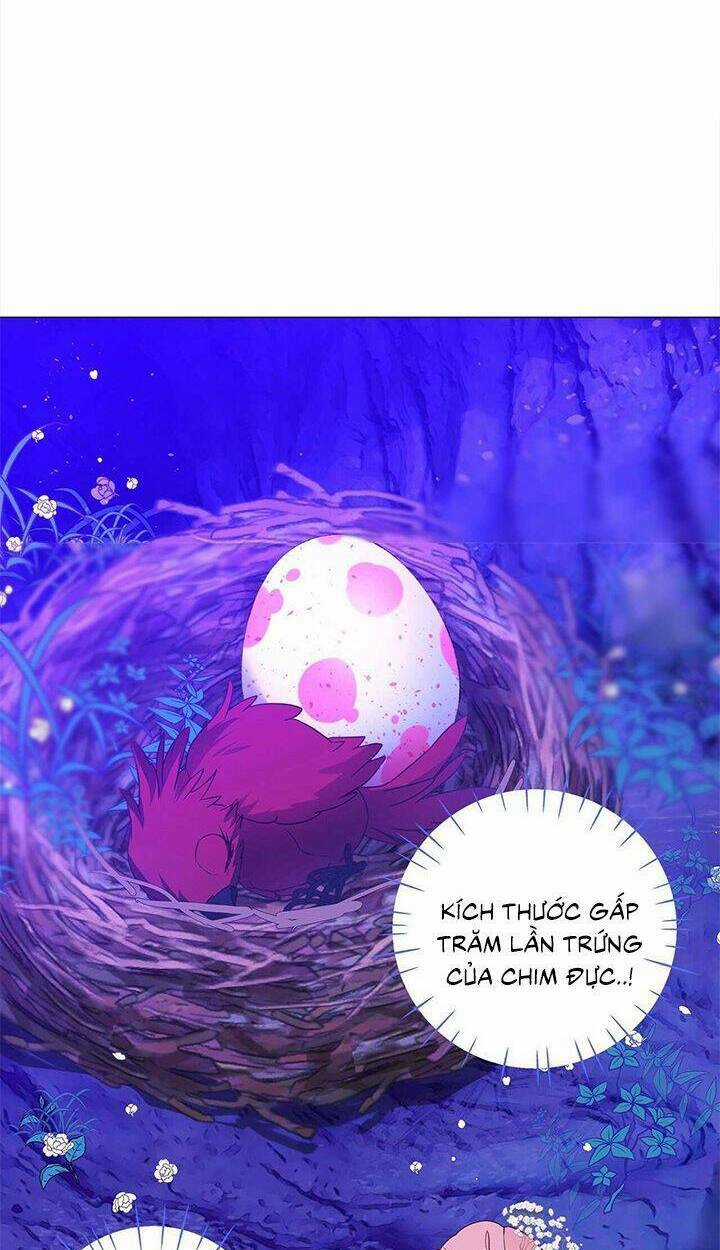 Hãy Chọn Một Trong Các Papa Bạo Chúa Chapter 11 trang 81