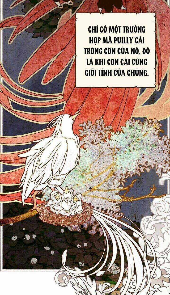 Hãy Chọn Một Trong Các Papa Bạo Chúa Chapter 11 trang 84
