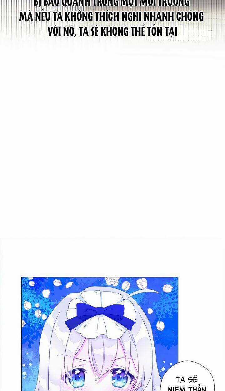 Hãy Chọn Một Trong Các Papa Bạo Chúa Chapter 5 trang 30